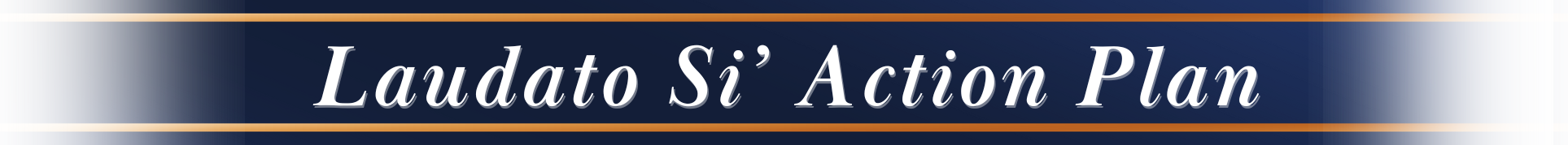 Laudato Si Action Plan Cdlex