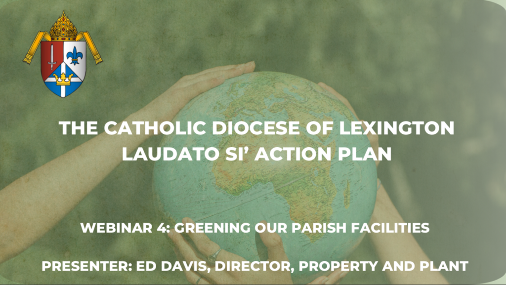 Laudato Si Action Plan Cdlex