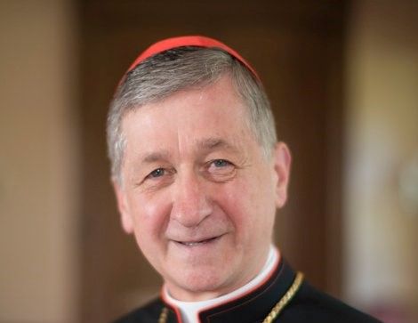 Cardinal Cupich Image Centered