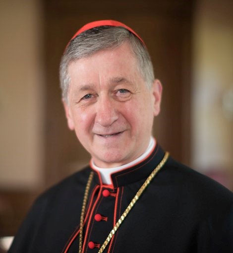 Cardinal Cupich Image Centered