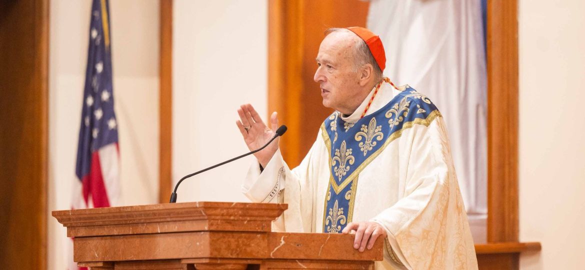 Cardinal-McElroy-Lourdes-homily-jpeg
