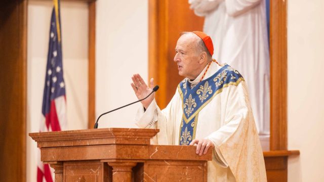 Cardinal-McElroy-Lourdes-homily-jpeg